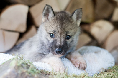 A Part Where Monica Sings