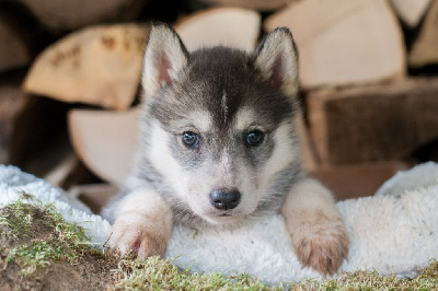 A Part Where Rachel Quits