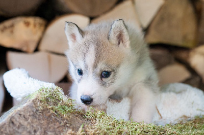 A Part With Joey's Award