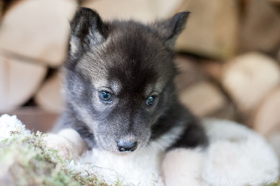 A Part With Chandler's Dad