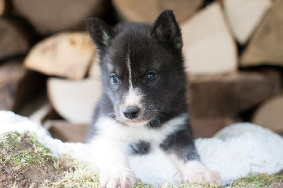 A Part Where Ross Got High