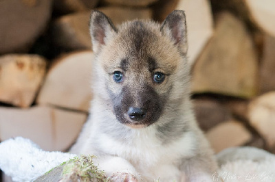 A Part With Phoebe's Dad